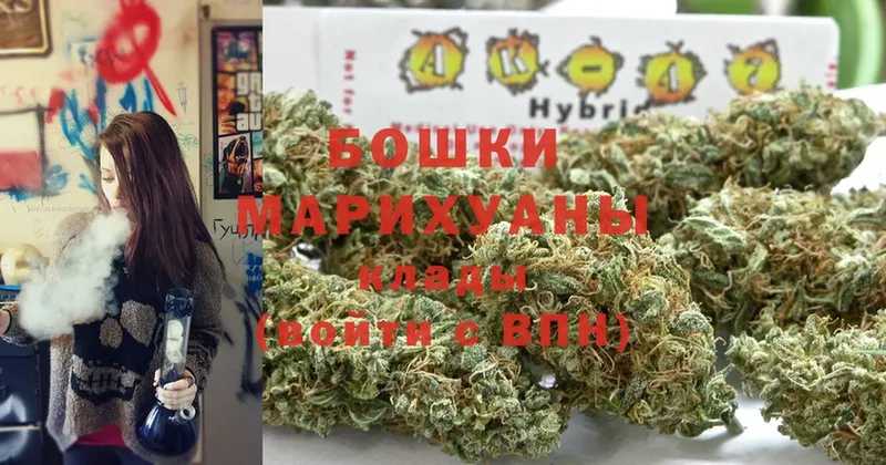 Бошки марихуана White Widow  что такое   Губкин 